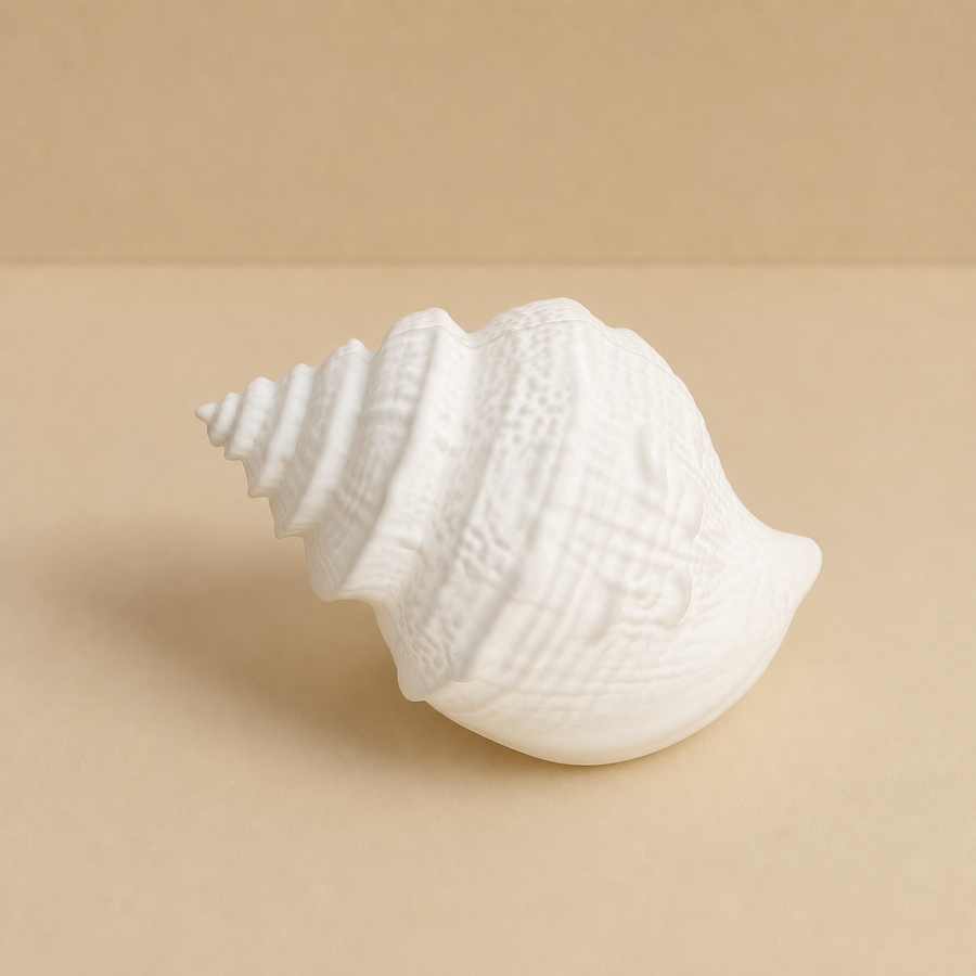Conch Glow — Silicone Seashell Night Light