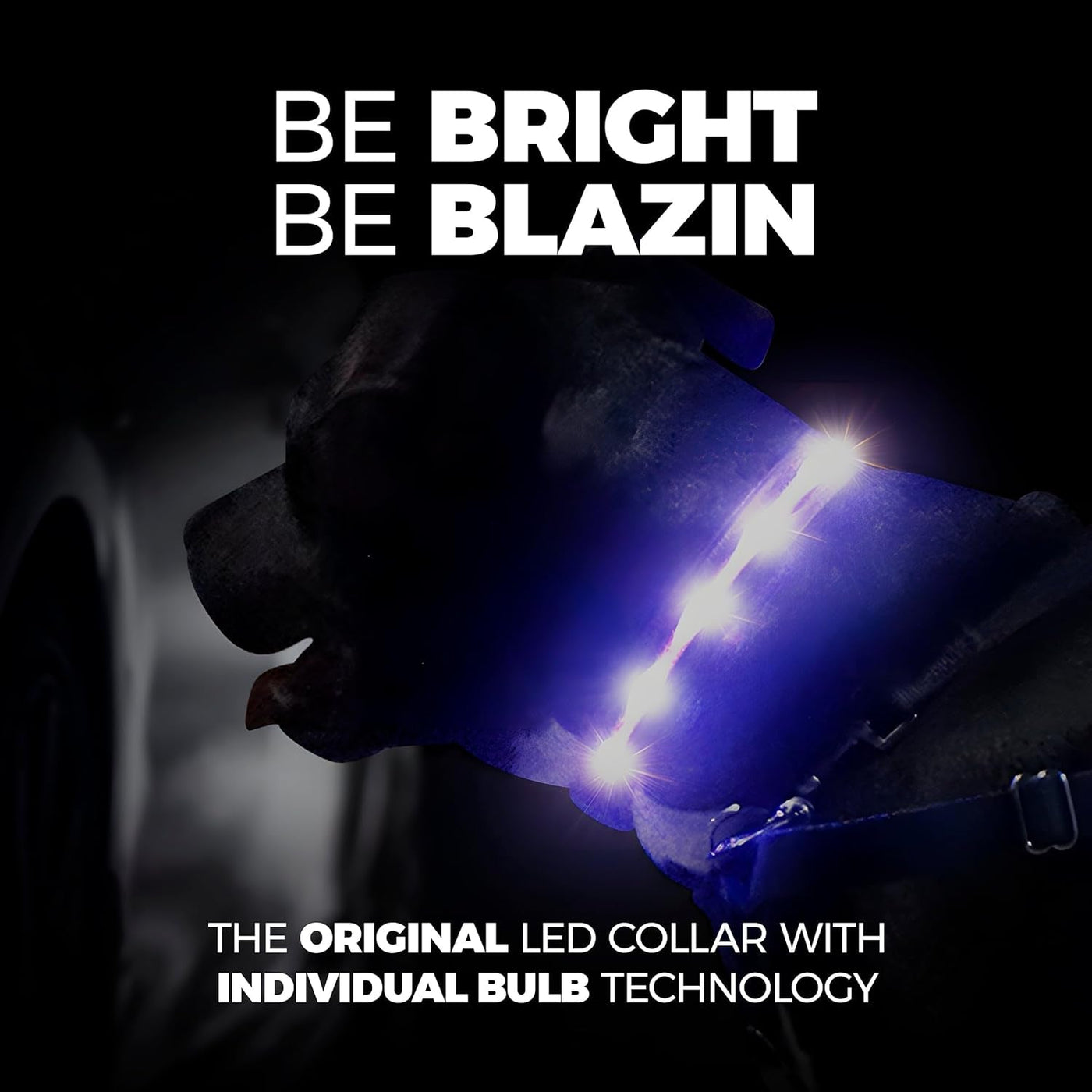 Glow Fido Glow: The Flashiest LED Dog Collar That Could Rival a Christmas Tree – 1,000 Feet of “Look at My Pooch!” Visibility – USB Rechargeable and Waterproof for Those Late-Night Bathroom Breaks!